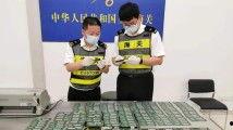 国产人人看人人爱,打造全民互动娱乐新体验